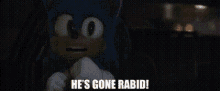 Sonic Movie2 Hes Gone Rabid GIF - Sonic Movie2 Hes Gone Rabid Hes Gone Crazy GIFs