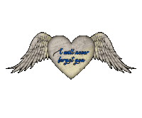 a heart with wings has the words " i will never forget you " on it