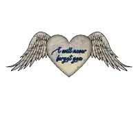 a heart with wings has the words " i will never forget you " on it
