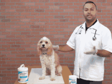 Dogs Puppy GIF - Dogs Puppy Veterinarian GIFs