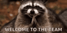 Welcome Racoon GIF - Welcome Racoon Madness GIFs