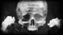 Blackandwhite Morbid GIF - Blackandwhite Morbid Skull GIFs