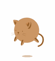 Gato Gordinho GIF - Gato Gordinho Cat GIFs