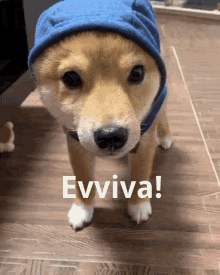 Evviva Dog GIF - Evviva Dog Cane GIFs