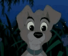 Scamp Lady GIF