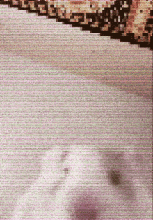 Ponyo Hamster GIF