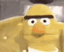 Bert Angry GIF - Bert Angry Muppets GIFs