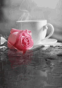 Kávé Rose GIF