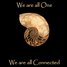 We Are All One All For One GIF - We Are All One All For One We Are All Connected GIFs