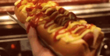 Hotdog Mustard GIF - Hotdog Mustard Ketchup GIFs