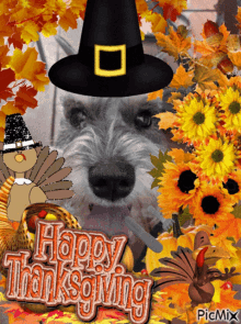 Thanksgiving Otto GIF - Thanksgiving Otto Otto Dog GIFs