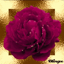 Red Rose GIF - Red Rose GIFs