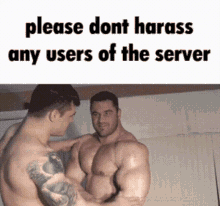 Discord Harass GIF - Discord Harass Server GIFs