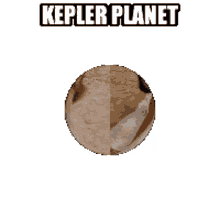the kepler the kepler the jew dog
