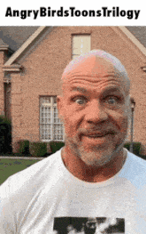 an angry birds toons trilogy poster with a bald man in front of a brick house