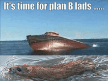 Plan B What Plan GIF