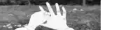 a black and white photo of a person 's hands with their fingers crossed .