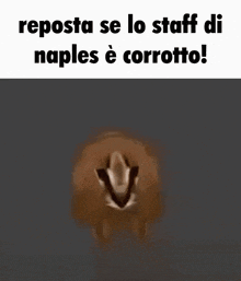 a close up of a cheetah with the words `` reposta se lo staff di naples è corrotto '' written on it .