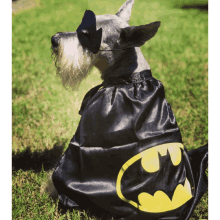 Batman Batdog GIF