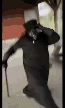 GIF