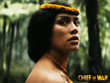 a poster for chief of war features a woman