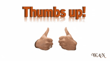 two hands giving a thumbs up and the words thumbs up