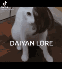 Daiyanlore GIF - Daiyanlore GIFs