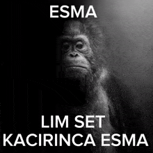 Esma GIF - Esma GIFs