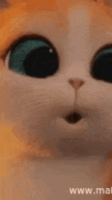 a close up of a cat 's face with the words " amazing rocka " below it