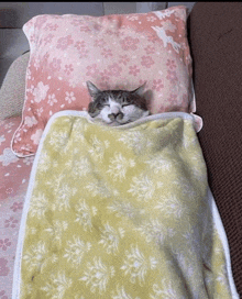a cat is wrapped in a yellow blanket and sleeping on a pillow