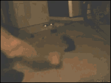 Cat Bed GIF - Cat Bed Funny GIFs