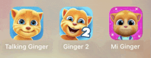 Talking Ginger Talking Ginger 2 Mi Talking Ginger GIF - Talking Ginger Talking Ginger 2 Mi Talking Ginger GIFs