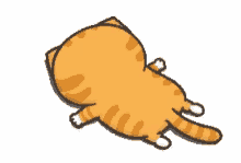 Animated Cat GIF - Animated Cat GIFs
