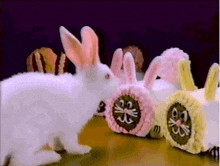 a white rabbit is standing next to a pink and yellow rabbit
