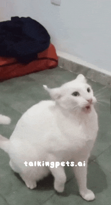 a white cat is standing on a tiled floor with talkingpets.ai written on the bottom right