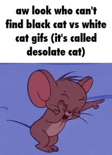 Black Cat Vs White Cat Desolate Cat GIF