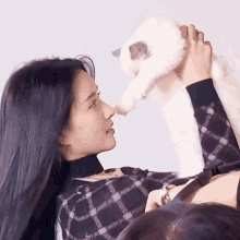 a woman in a plaid shirt holds a white cat