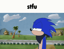 Sonic The Hedgehog Sonic GIF - Sonic The Hedgehog Sonic Stfu GIFs