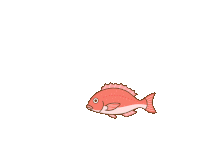 a cartoon drawing of a red fish with a yellow star on its tail
