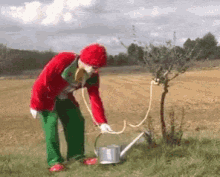 Clown Watering The Plant GIF - Clown Watering The Plant Tree GIFs
