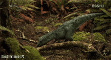 Baby Tyrannosaurus Rex GIF - Baby Tyrannosaurus Rex Dinosaur GIFs