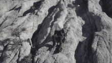 stone head on the edge going down mountain sisyphus music video