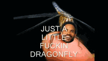 Lenny Kravitz Dragonfly GIF - Lenny Kravitz Dragonfly GIFs