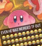 Kirby Return To Dreamland Deluxe Let Me Explain Everything GIF