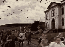 Alfred Hitchcock Birds GIF - Alfred Hitchcock Birds GIFs