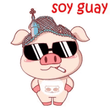 cool soy