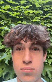 a young man with curly hair is making a funny face in front of a hedge .