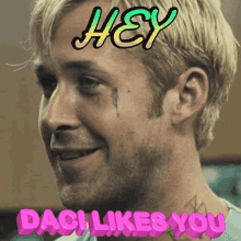 daci likes you hey