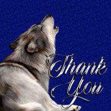Thank You Wild Animal GIF - Thank You Wild Animal Wolf GIFs