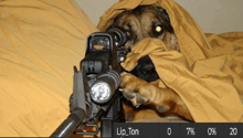 a german shepherd laying under a blanket with a rifle in front of him with lip_ton written on the bottom right